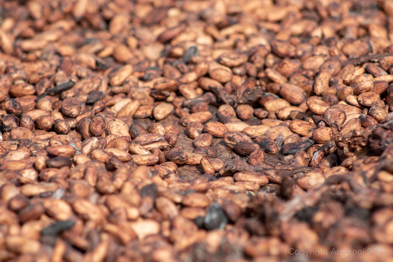 entdecken sie alles über fermentation: von traditionellen methoden bis zu modernen anwendungen. lernen sie, wie sie lebensmittel durch fermentieren gesund und lecker veredeln können.