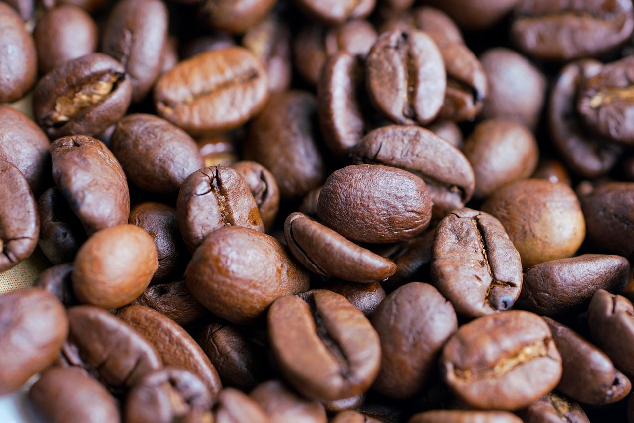 entdecken sie vielfältige patterns und muster, die design, mode und kunst bereichern. lassen sie sich von kreativen beispielen und inspirationen für verschiedene anwendungen begeistern.