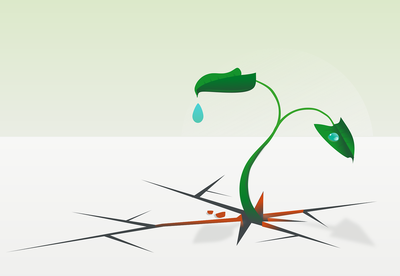 entdecken sie, wie resilienz ihnen helfen kann, herausforderungen zu meistern und innerlich gestärkt aus schwierigen situationen hervorzugehen. tipps & strategien für mehr psychische widerstandskraft.