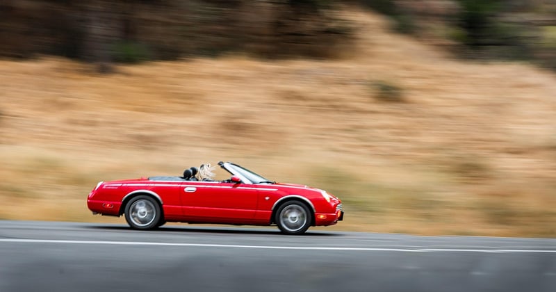 Thunderbird Passwort ändern: Anleitung in 5 einfachen Schritten